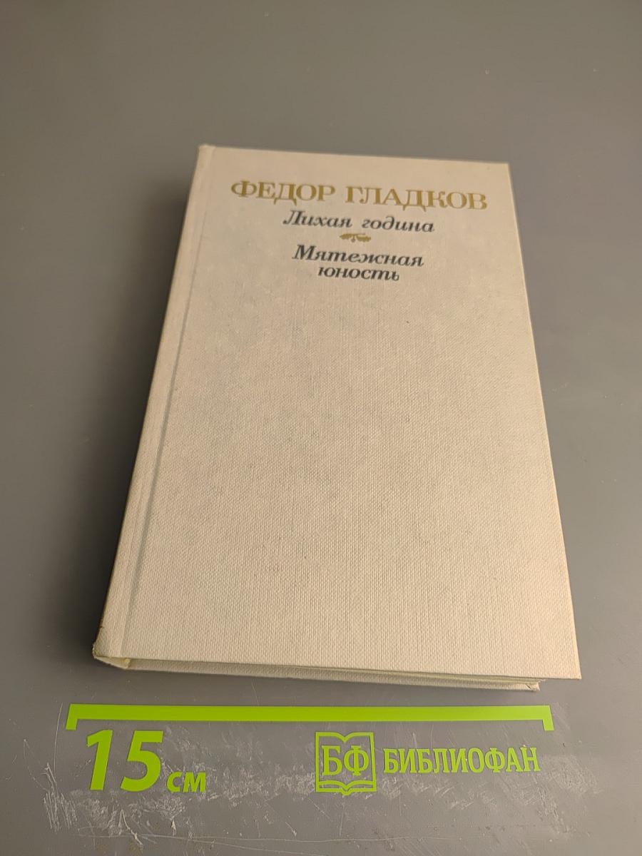 Лихая година. Мятежная юность