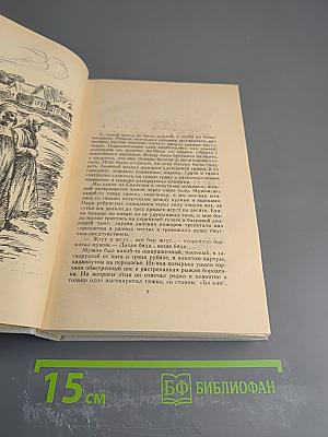 Лихая година. Мятежная юность