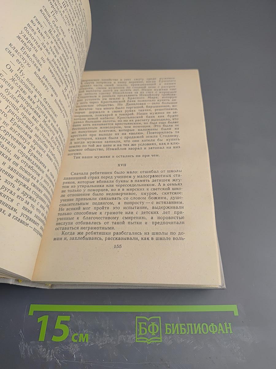 Лихая година. Мятежная юность