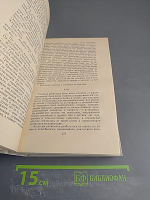 Лихая година. Мятежная юность