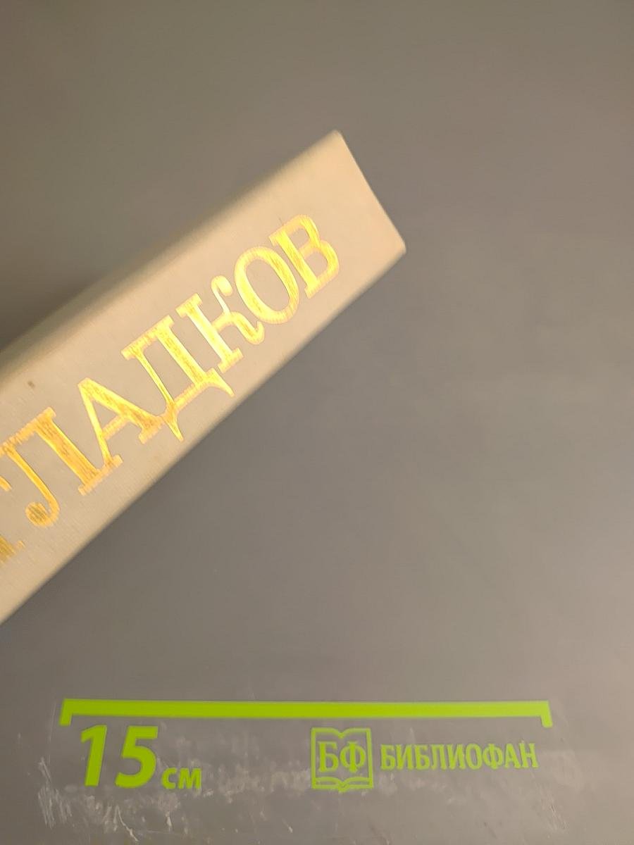 Лихая година. Мятежная юность