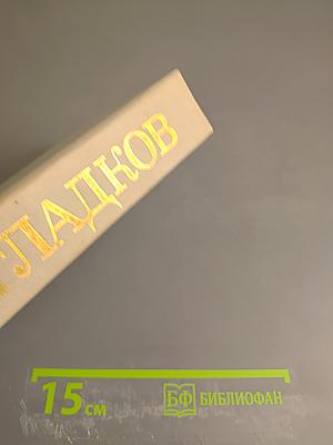 Лихая година. Мятежная юность