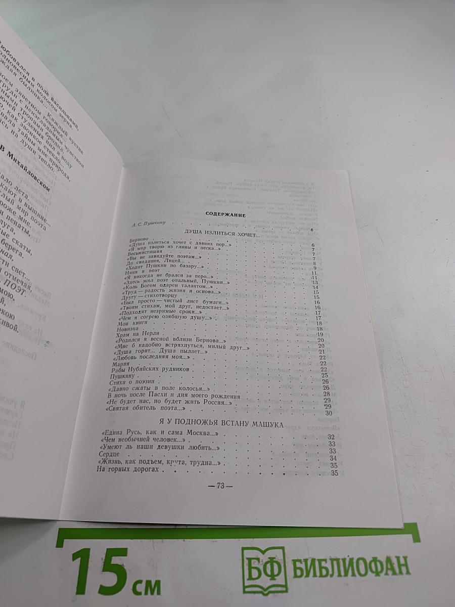 Здесь Пушкин не раз проезжал...