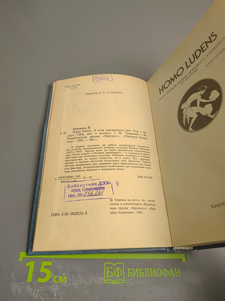 Homo Ludens. В тени завтрашнего дня