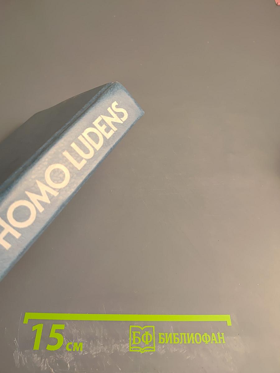 Homo Ludens. В тени завтрашнего дня