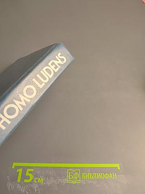 Homo Ludens. В тени завтрашнего дня