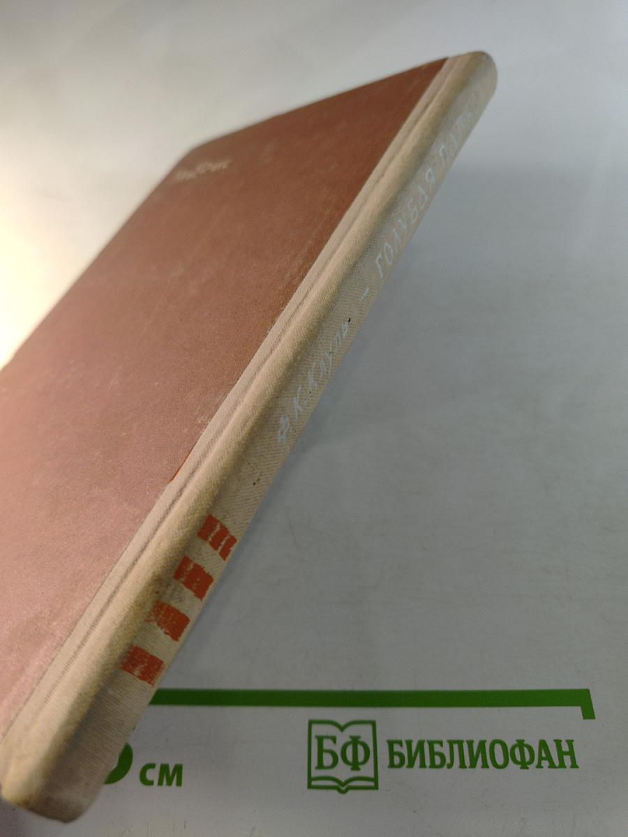 Голубая папка