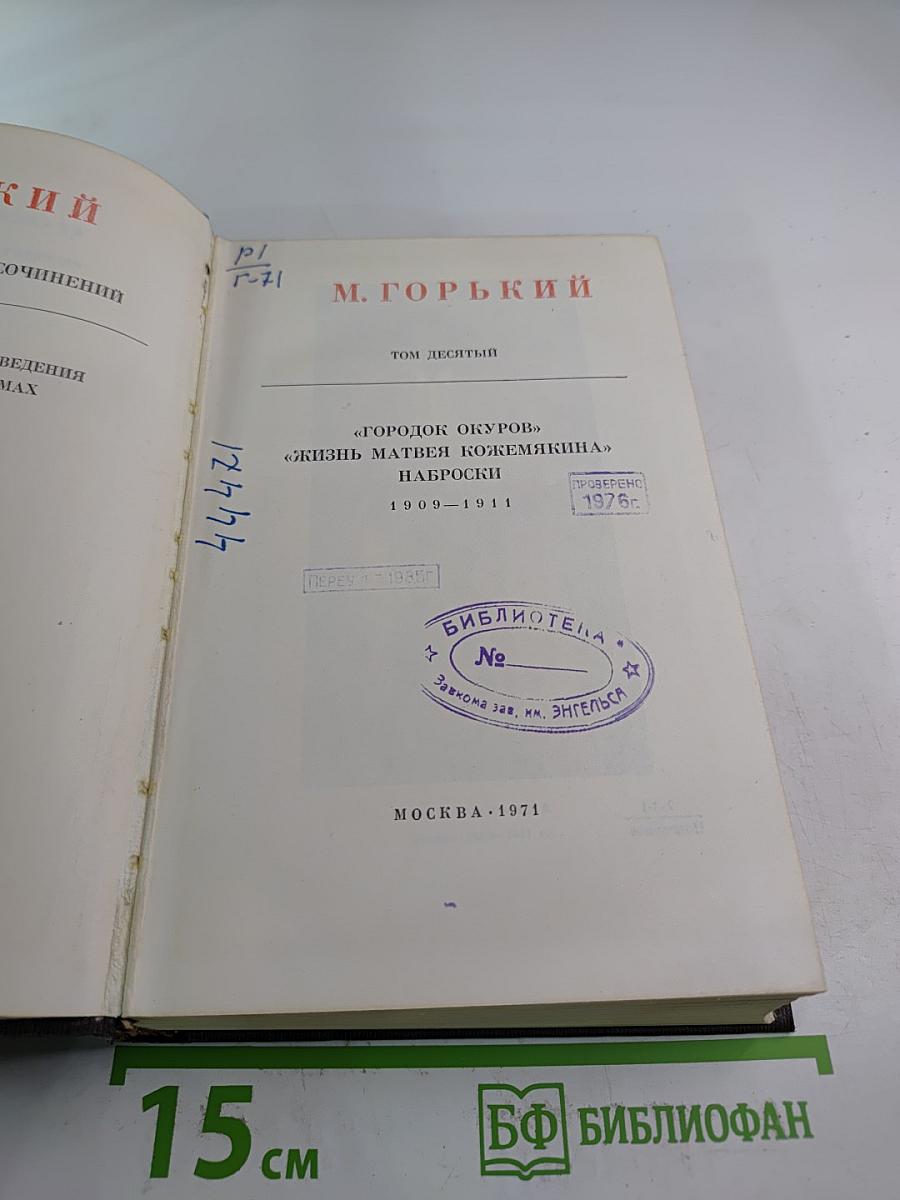 Городок Окуров. Жизнь Матвея Кожемякина. Наброски (Том десятый)