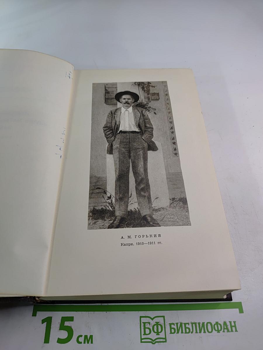 Городок Окуров. Жизнь Матвея Кожемякина. Наброски (Том десятый)