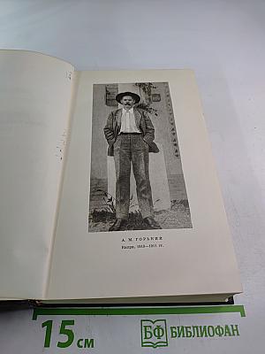 Городок Окуров. Жизнь Матвея Кожемякина. Наброски (Том десятый)