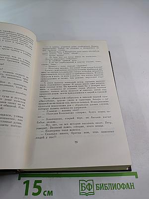 Городок Окуров. Жизнь Матвея Кожемякина. Наброски (Том десятый)