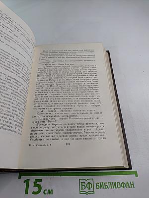 Городок Окуров. Жизнь Матвея Кожемякина. Наброски (Том десятый)