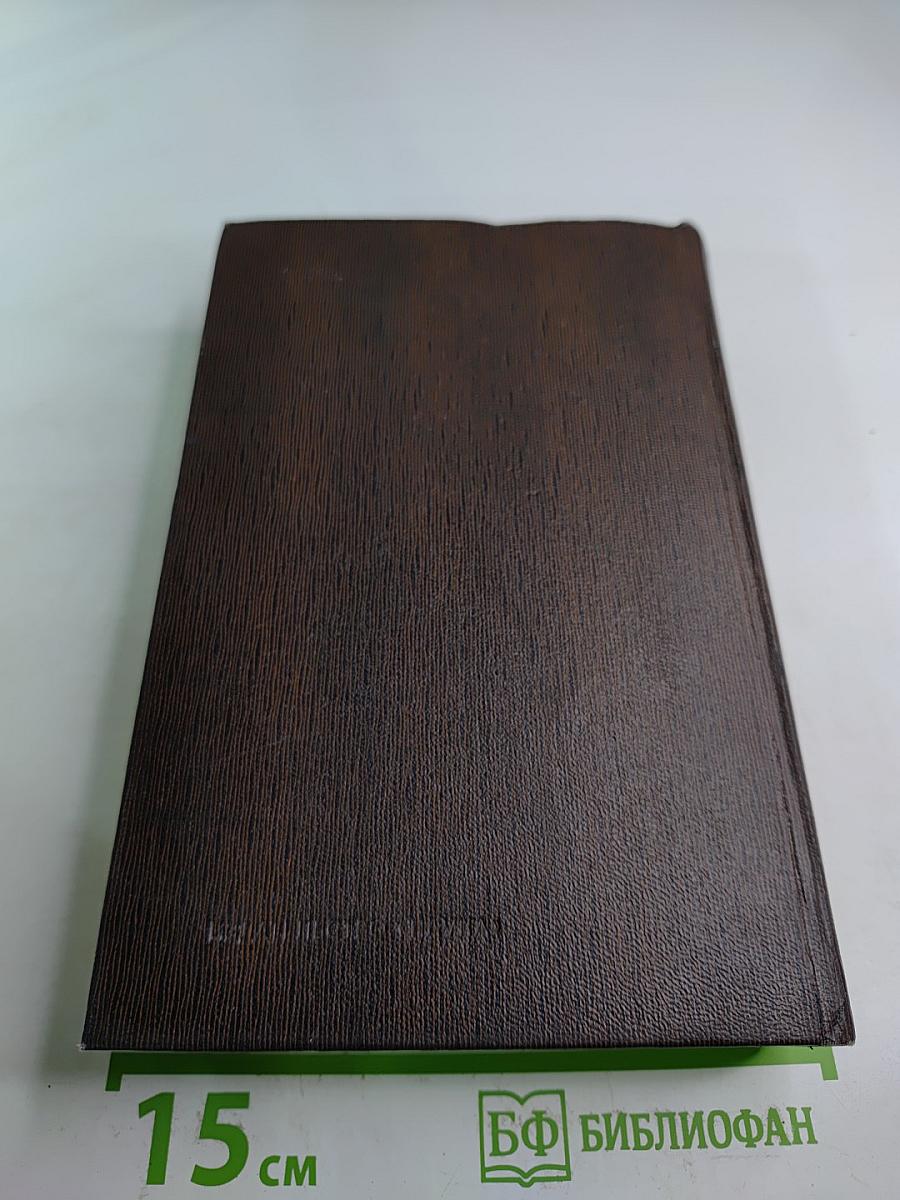 Городок Окуров. Жизнь Матвея Кожемякина. Наброски (Том десятый)