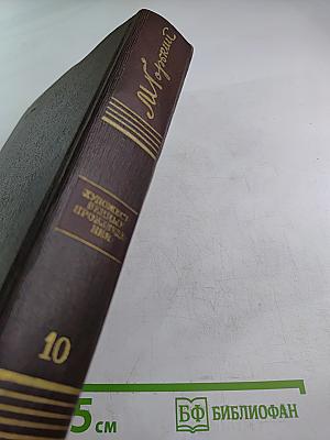 Городок Окуров. Жизнь Матвея Кожемякина. Наброски (Том десятый)