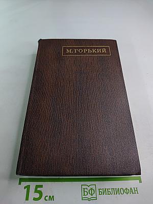 Художественные произведения. Том шестнадцатый. Повесть, рассказы, очерки, стихи. 1917-1924