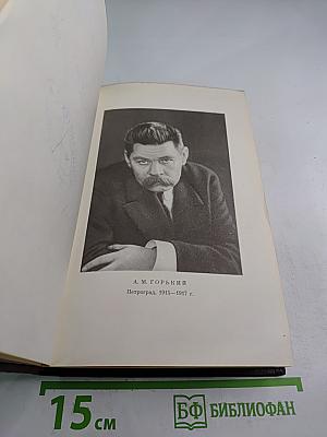 Художественные произведения. Том шестнадцатый. Повесть, рассказы, очерки, стихи. 1917-1924