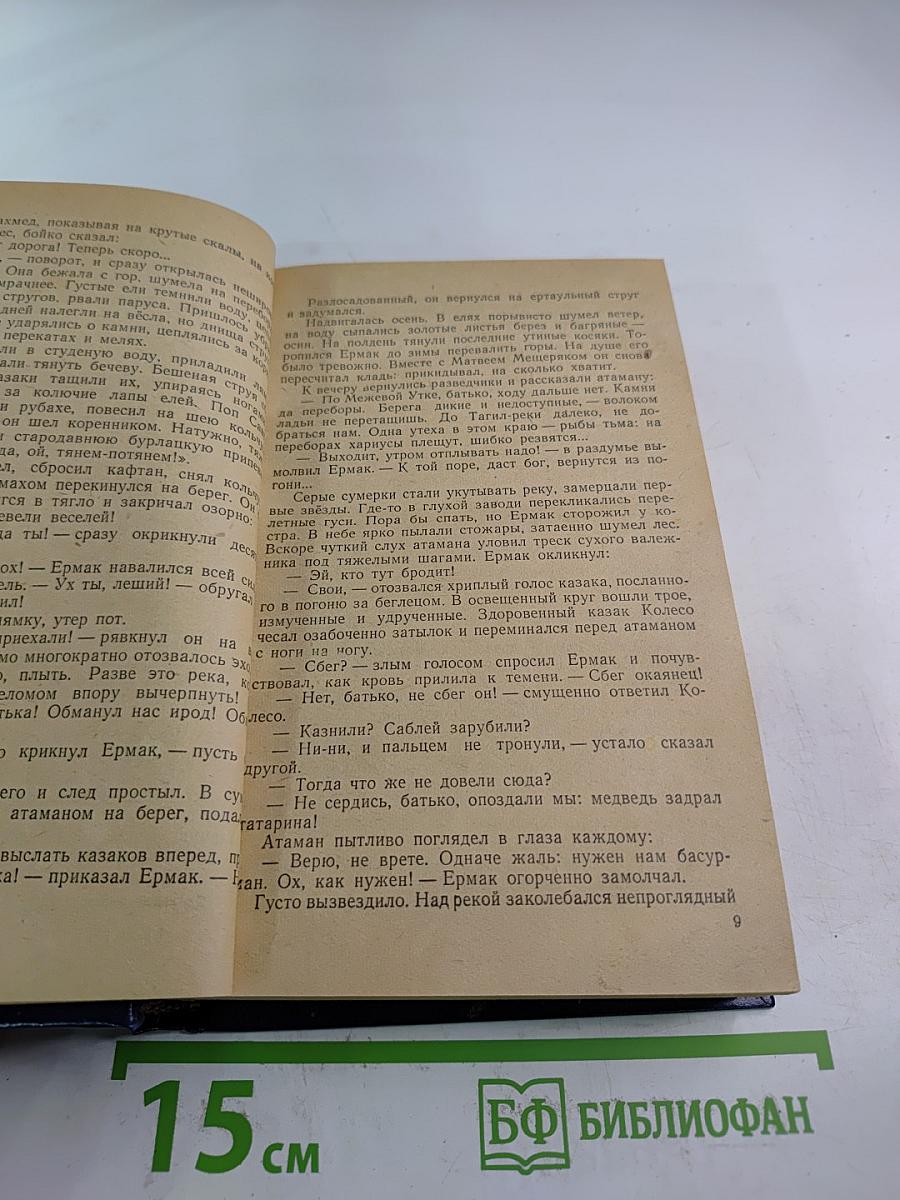 Ермак. Исторический роман. Книга вторая