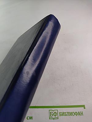 Ермак. Исторический роман. Книга вторая