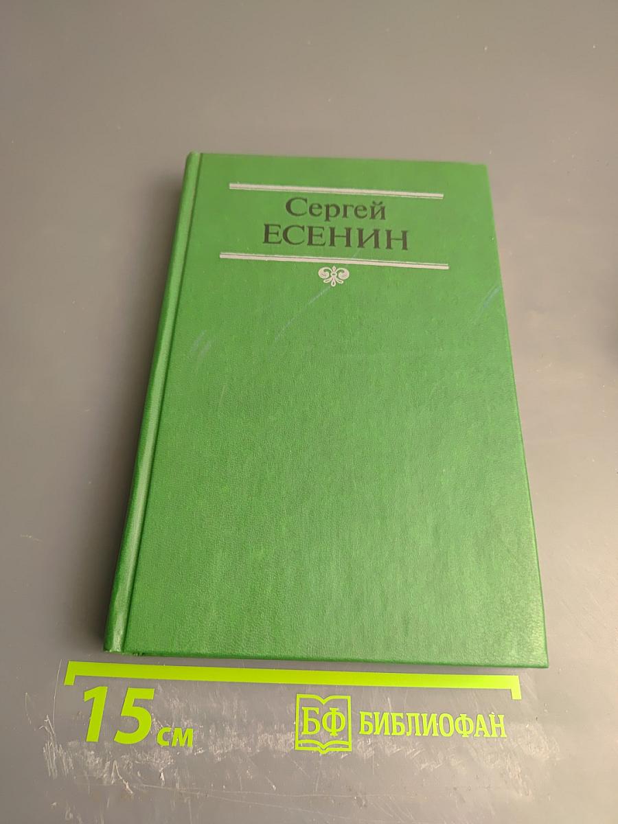 Собрание сочинений в двух томах. Том 2. Стихотворения, проза, статьи, письма