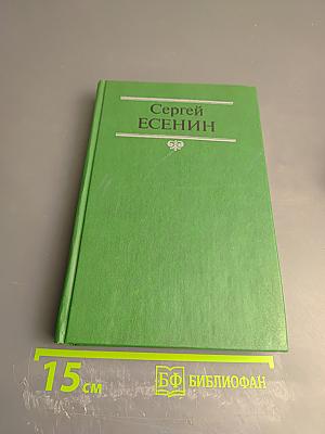 Собрание сочинений в двух томах. Том 2. Стихотворения, проза, статьи, письма