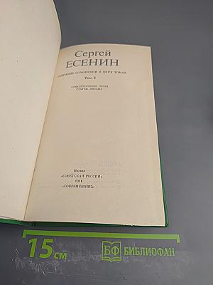 Собрание сочинений в двух томах. Том 2. Стихотворения, проза, статьи, письма
