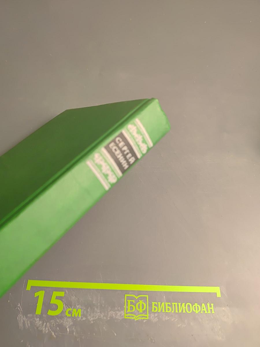 Собрание сочинений в двух томах. Том 2. Стихотворения, проза, статьи, письма