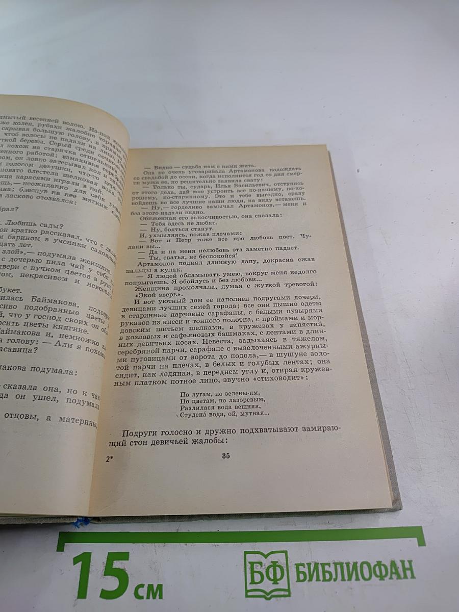 Дело Артамоновых