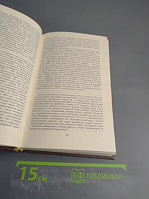 Бухарин. Политическая биография 1888-1938