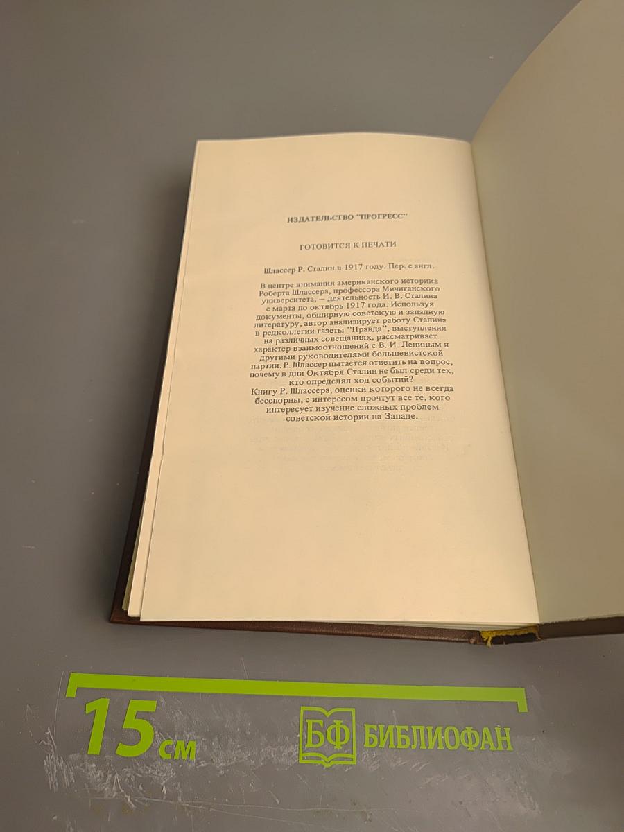 Бухарин. Политическая биография 1888-1938