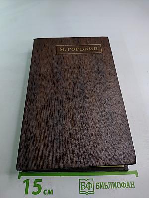 Полное собрание сочинений. Том семнадцатый: Заметки из дневника, воспоминания. Рассказы 1922-1924 годов