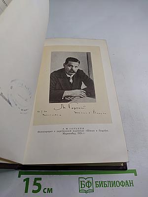 Полное собрание сочинений. Том семнадцатый: Заметки из дневника, воспоминания. Рассказы 1922-1924 годов