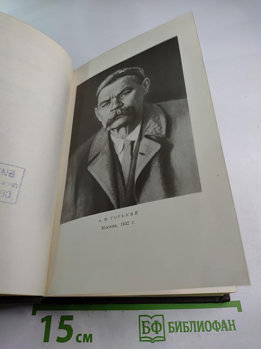 М. Горький. Собрание сочинений. Том девятнадцатый: Пьесы, Сценарии, Драматические наброски 1917-1935