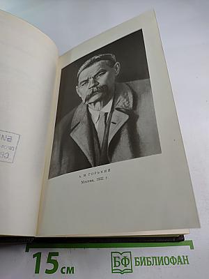 М. Горький. Собрание сочинений. Том девятнадцатый: Пьесы, Сценарии, Драматические наброски 1917-1935