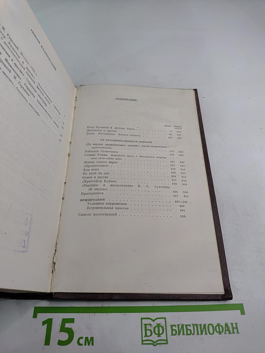 М. Горький. Собрание сочинений. Том девятнадцатый: Пьесы, Сценарии, Драматические наброски 1917-1935