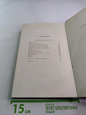Сочинения в двух томах. Том II. Критические рассказы