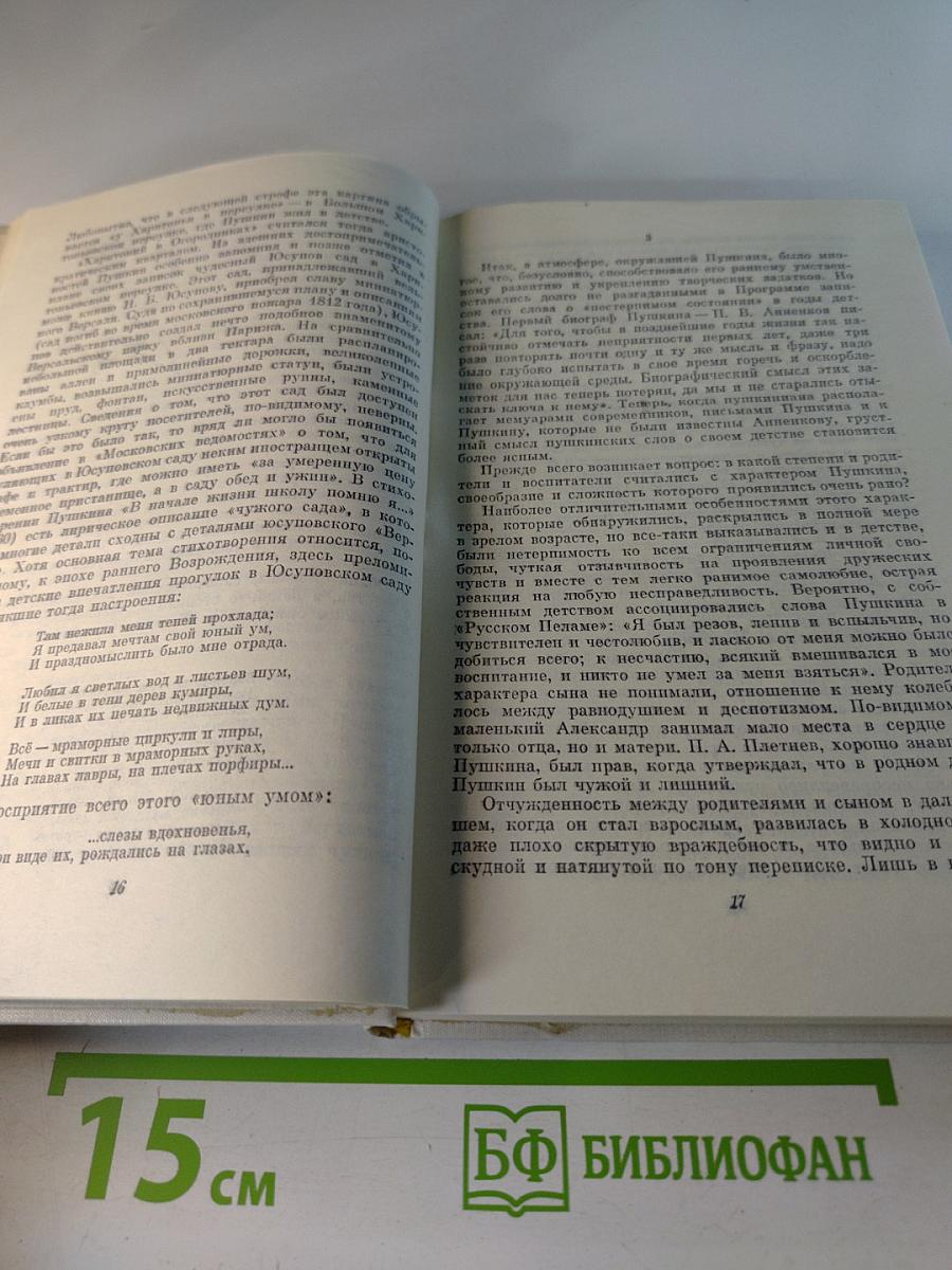 Жизнь Александра Пушкина