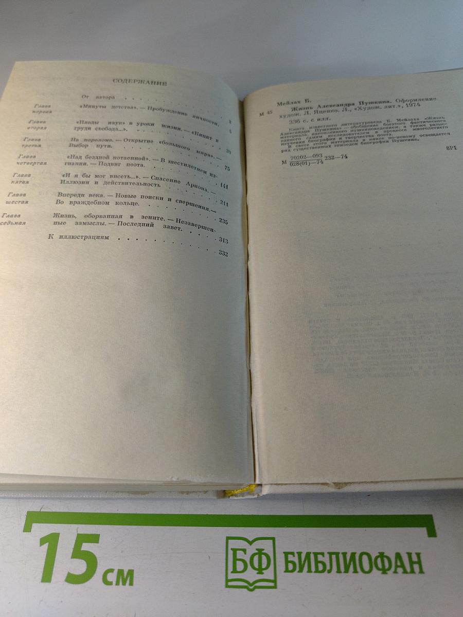 Жизнь Александра Пушкина