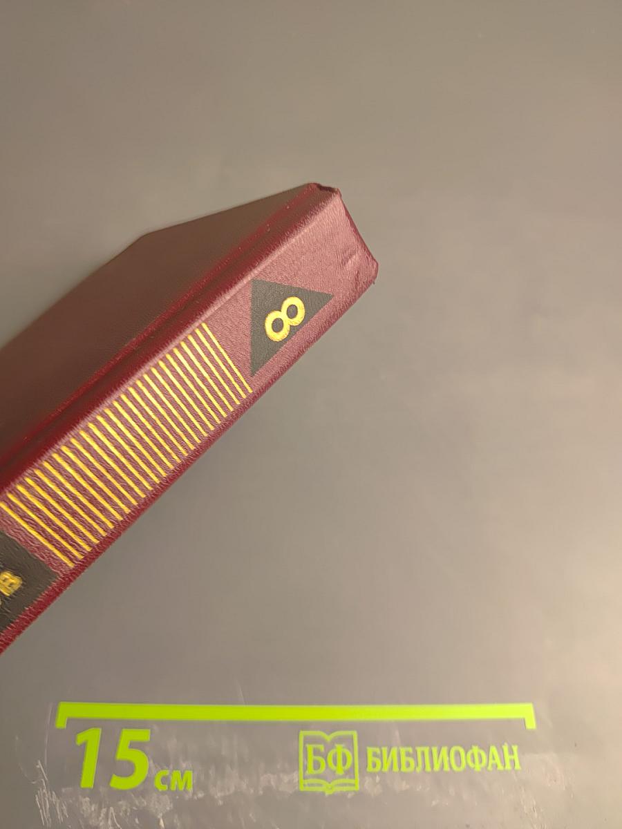 Собрание сочинений. Том 8. В полдень на солнечной стороне