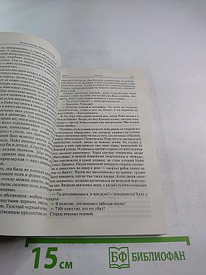 Мир пауков. Книга третья: Маг