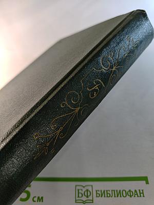 Краткий путеводитель по музею Государственный Эрмитаж