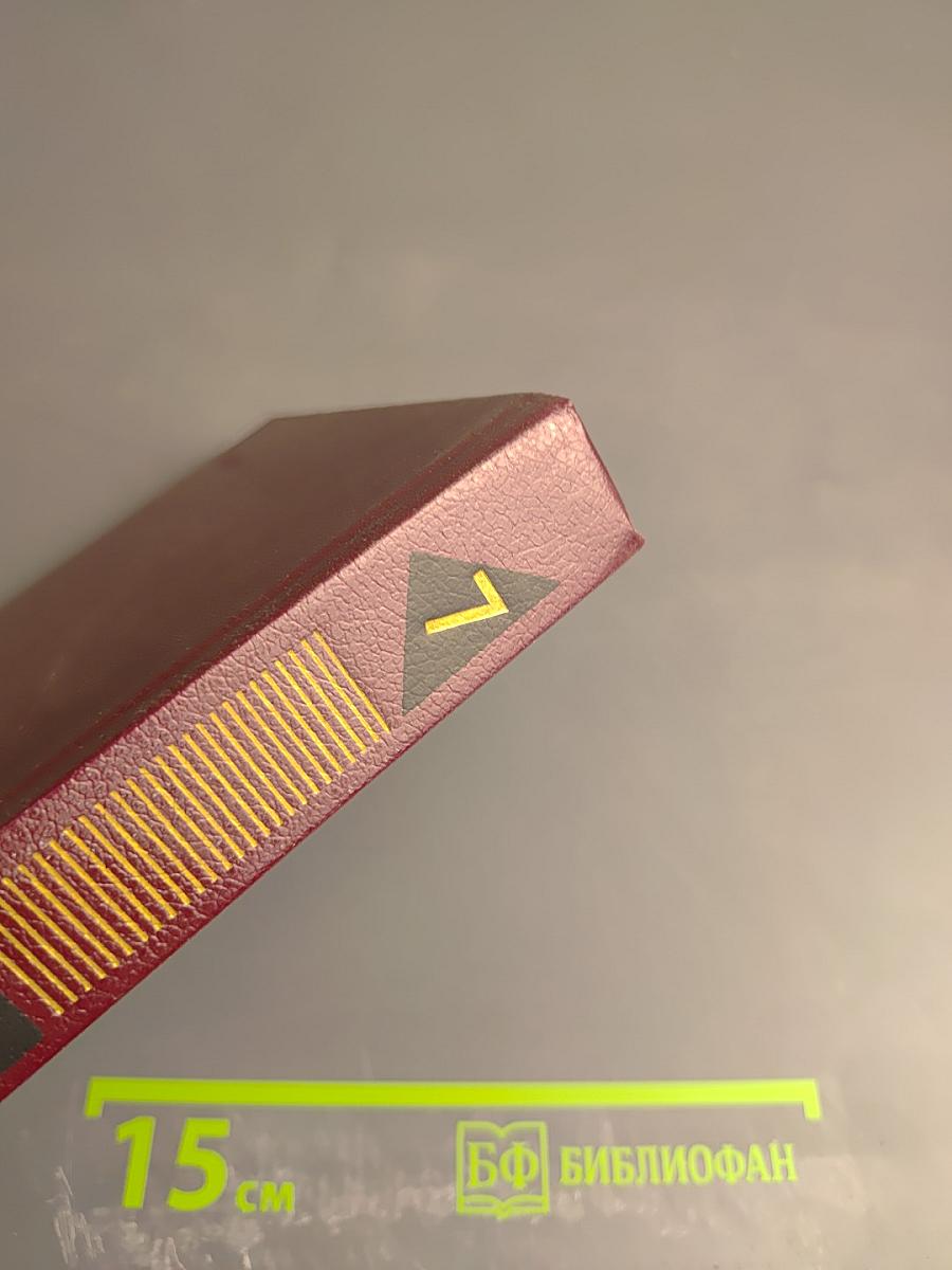 Собрание сочинений. Том седьмой. Щит и меч. Книга вторая