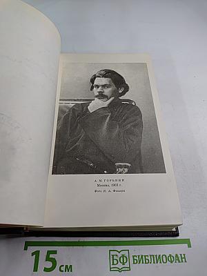 Пьесы, Драматические наброски. Том 7