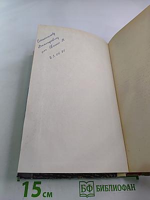 Ранние журавли