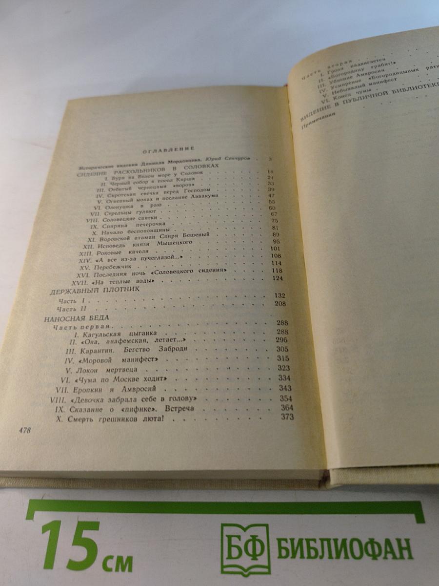 Державный плотник