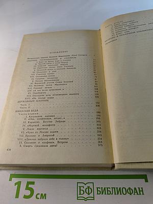 Державный плотник