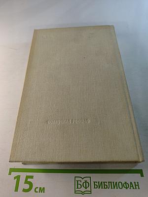 Державный плотник