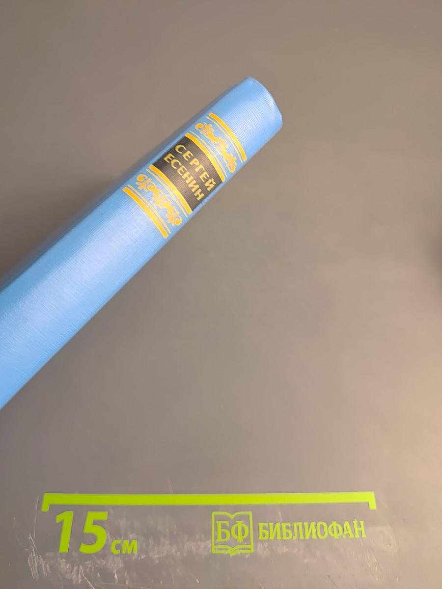 Собрание сочинений в двух томах. Том 2: Стихотворения, Проза, Статьи, Письма