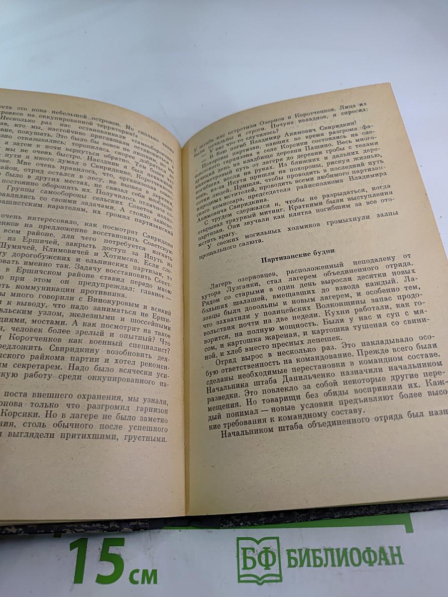 Пригорьевская операция