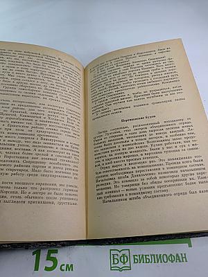 Пригорьевская операция