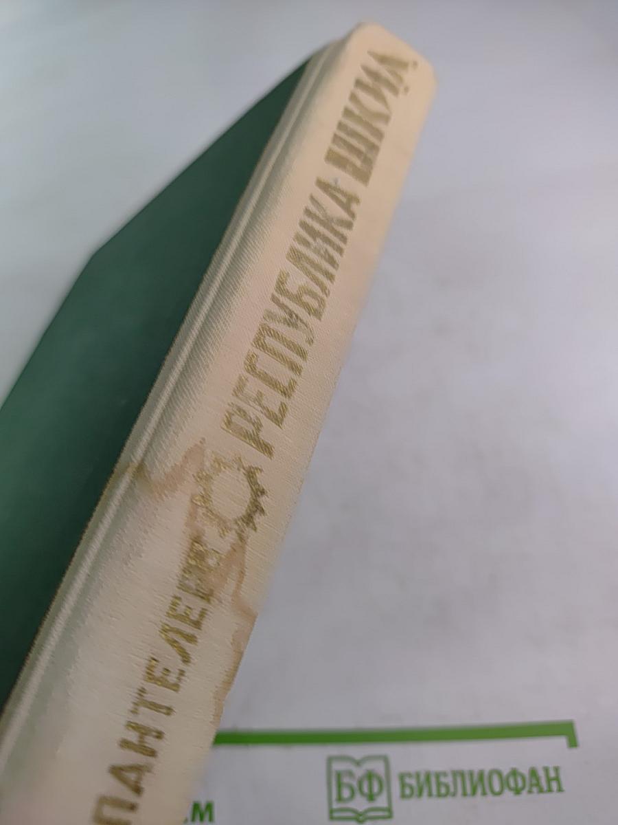 Республика ШКИД